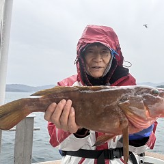 11月 25日(火)一日便・泳がせ釣りあの写真その12