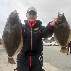 11月 27日（木）一日便・泳がせ釣りの写真その2