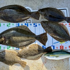 11月 27日（木）一日便・泳がせ釣りの写真その3