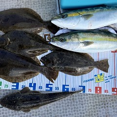 11月 27日（木）一日便・泳がせ釣りの写真その4