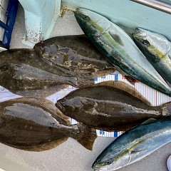 11月 27日（木）一日便・泳がせ釣りの写真その5