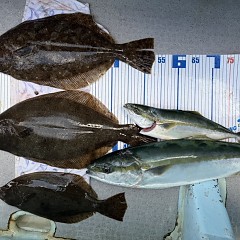 11月 27日（木）一日便・泳がせ釣りの写真その8