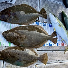 11月 27日（木）一日便・泳がせ釣りの写真その9