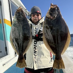 11月 29日（土）一日便・泳がせ釣りの写真その1