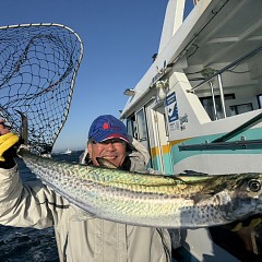11月 29日(土)一日便・泳がせ釣りの写真その8