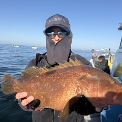 11月 30日（日）一日便・泳がせ釣りの写真その8