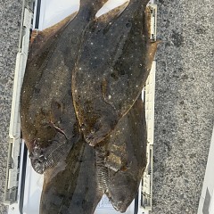 12月 1日(月)一日便・泳がせ釣りの写真その5