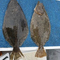 12月 1日(月)一日便・泳がせ釣りの写真その12