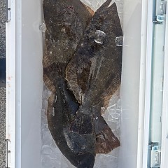 12月2日（火）一日便・泳がせ釣りの写真その8