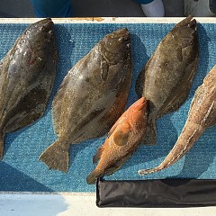 12月 2日（火）一日便・泳がせ釣りの写真その11