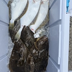 12月4日(木)午前便・泳がせ釣りの写真その5