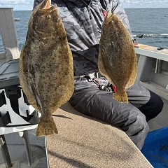 12月4日(木)午前便・泳がせ釣りの写真その8