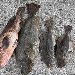 12月5日(金)一日便・イワシの泳がせ釣りの写真その5