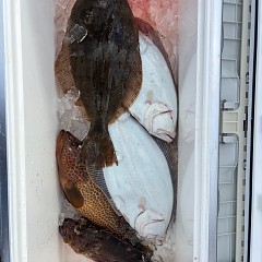 12月5日(金)一日便・イワシの泳がせ釣りの写真その6