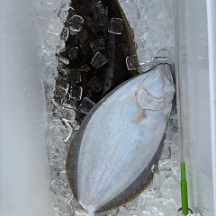 12月5日(金)一日便・イワシの泳がせ釣りの写真その8