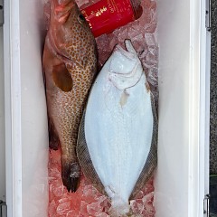 12月5日(金)一日便・イワシの泳がせ釣りの写真その11