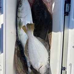 12月6日(土)午前便・泳がせ釣りの写真その4