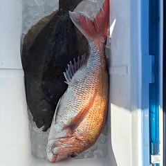 12月6日(土)午前便・泳がせ釣りの写真その6