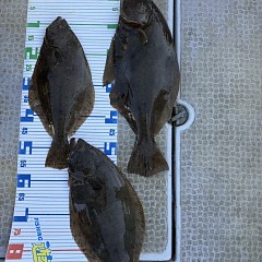 12月 7日(日) 一日便・泳がせ釣りの写真その12