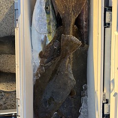 12月7日(日)一日便・泳がせ釣りの写真その7