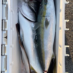 12月7日(日)一日便・泳がせ釣りの写真その8