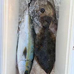 12月7日(日)一日便・泳がせ釣りの写真その9