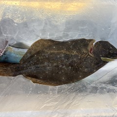 12月7日(日)一日便・泳がせ釣りの写真その10