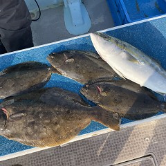 12月 8日(月)一日便・泳がせ釣りの写真その11