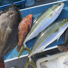 12月 8日(月)一日便・泳がせ釣りの写真その12