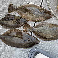 12月 8日(月)8時出船・泳がせ釣りの写真その10