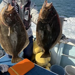 12月 9日(火)一日便・泳がせ釣りの写真その3