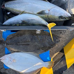 12月11日(木)一日便泳がせ釣りの写真その6