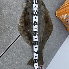 12月 13日（土）午前便・泳がせ釣りの写真その10