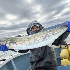 12月 13日（土）午前便・泳がせ釣りの写真その12