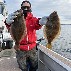 12月 13日(土)午後便・・泳がせ釣りの写真その4