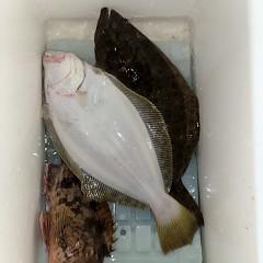 12月 13日(土)午後便・・泳がせ釣りの写真その8