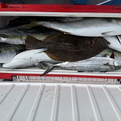 12月 15日(月)一日便・泳がせ釣りの写真その6