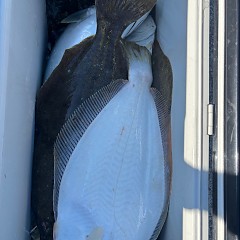 12月16日(火)午前便・泳がせ釣りの写真その6