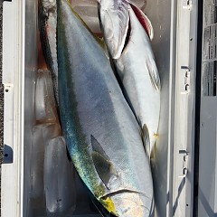 12月16日(火)午前便・泳がせ釣りの写真その7