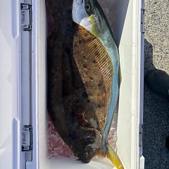 12月16日(火)午前便・泳がせ釣りの写真その8