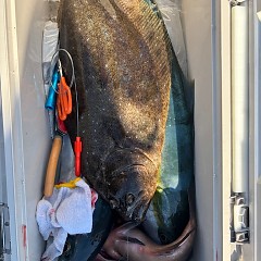12月16日(火)午前便・泳がせ釣りの写真その9