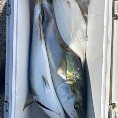 12月16日(火)午前便・泳がせ釣りの写真その10