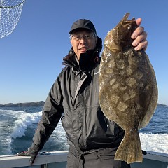12月 16日(火)一日便・泳がせ釣りの写真その9