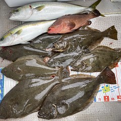 12月 17日（水）一日便・泳がせ釣りの写真その10