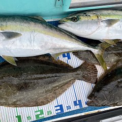 12月 17日（水）一日便・泳がせ釣りの写真その11