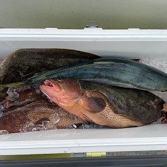 12月 17日（水）一日便・泳がせ釣りの写真その12