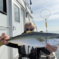 12月17日（水）午前便・泳がせ釣りの写真その4