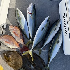 12月 18日（木）一日便・泳がせ釣りの写真その1