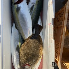 12月 18日（木）一日便・泳がせ釣りの写真その2