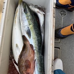 12月 18日（木）一日便・泳がせ釣りの写真その4